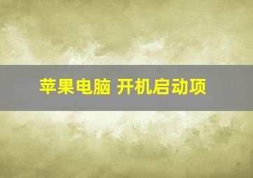 苹果电脑 开机启动项